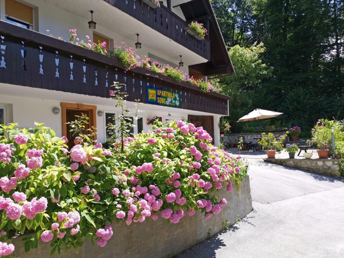 Accommodation Destina, Lake Bohinj Ngoại thất bức ảnh